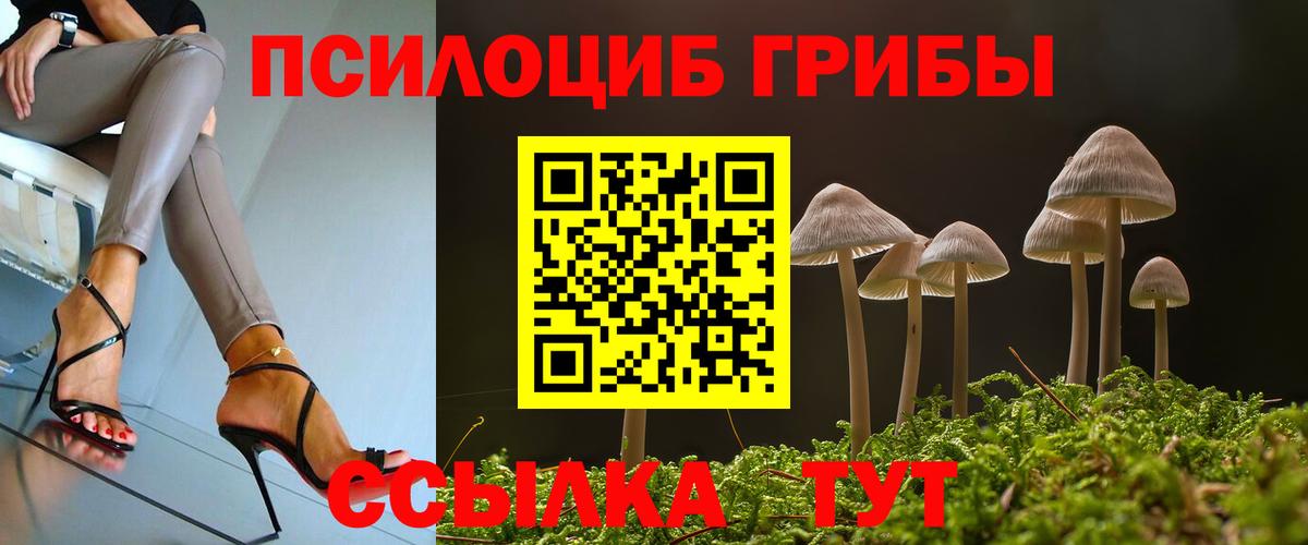 Галлюциногенные грибы Cubensis Учалы